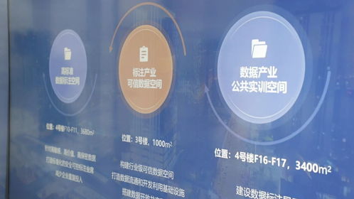 成都新津 一座引領(lǐng)未來的“數(shù)據(jù)加工廠”如何重塑軟件開發(fā)產(chǎn)業(yè)生態(tài)