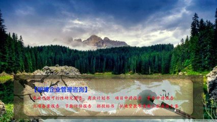 西峰農(nóng)業(yè)廢棄物生產(chǎn)乙醇燃料基地可行性報(bào)告 批地立項(xiàng)與企業(yè)管理咨詢